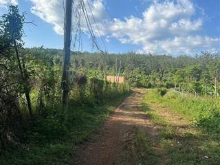 Bán đất tại thôn 1, đoàn kết, huyện bù đăng, 6,2 tỷ, 7584 m2
