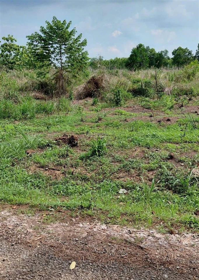 Bán đất tại nguyễn thị minh khai, 1,2 tỷ, 1150 m2, bình phước