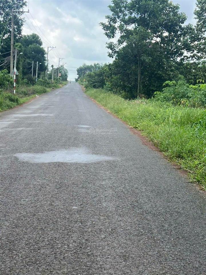Bán đất gấp tại nguyễn thị minh khai, 1,6 tỷ, 1186 m2