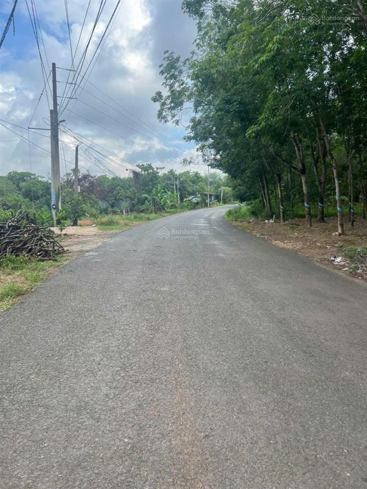 Bán đất gấp tại nguyễn thị minh khai, 1,6 tỷ, 1186 m2
