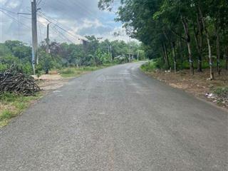 Bán đất gấp tại nguyễn thị minh khai, 1,6 tỷ, 1186 m2