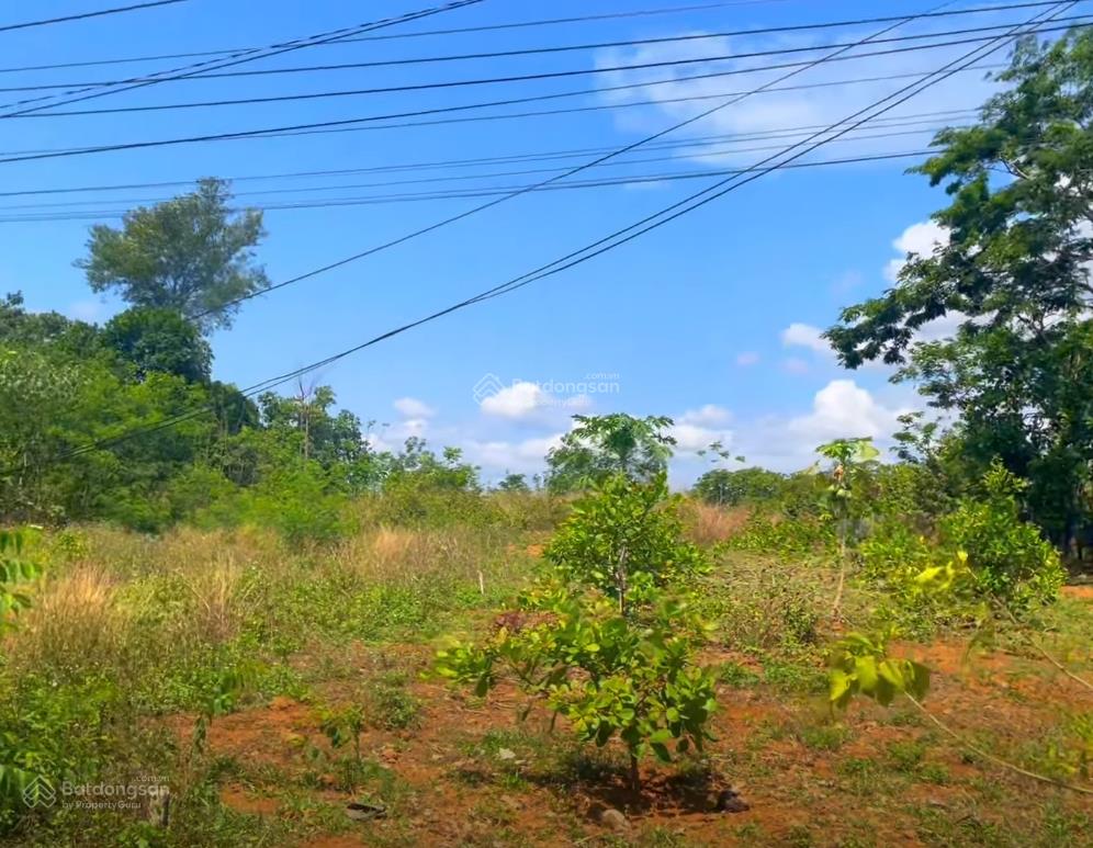 Bán đất tại xã minh hưng, 26,2 tỷ, 48665 m2, hàng hiếm giá siêu hời