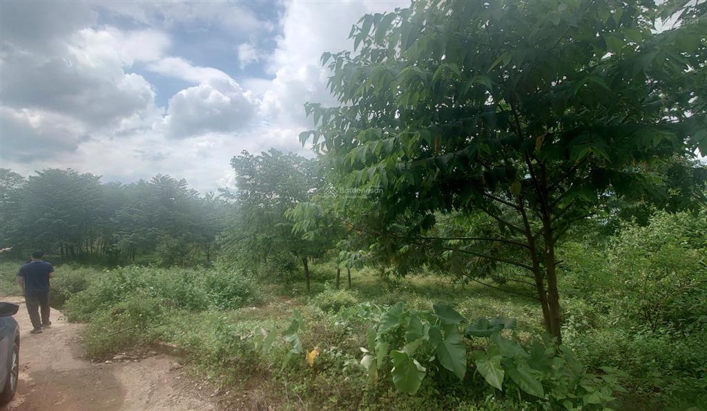 Bán đất tại xã minh hưng, 22,2 tỷ, 44682 m2, pháp lý đầy đủ