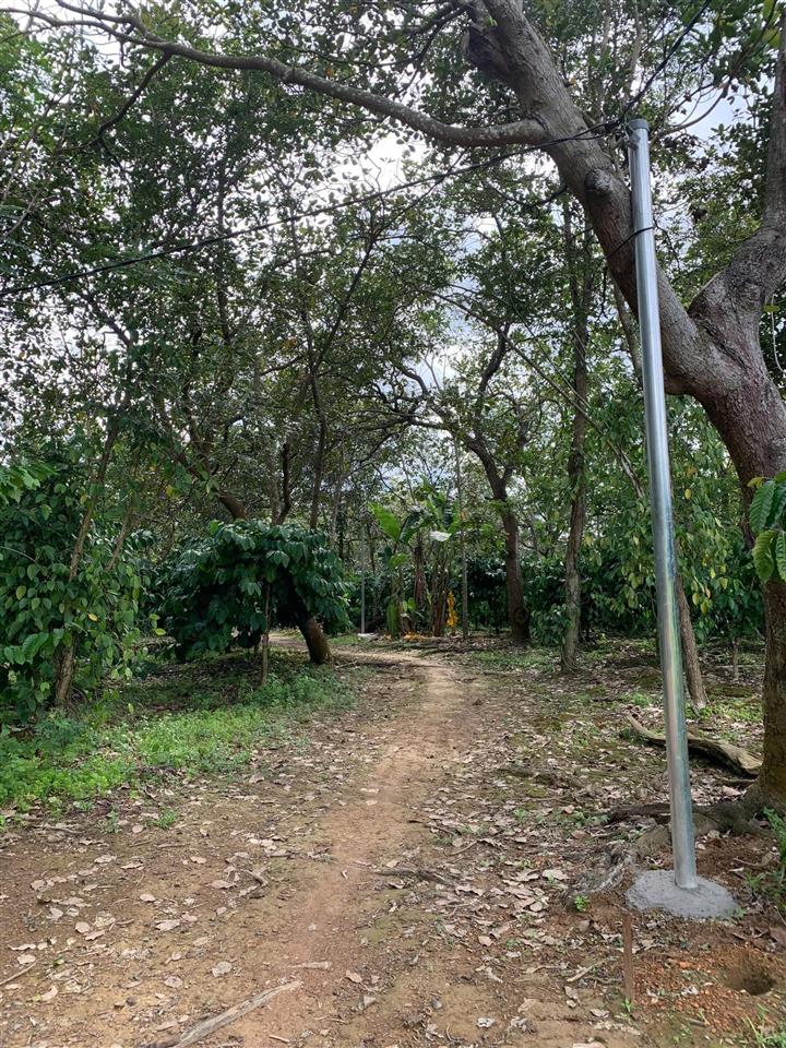 Bán đất tại xã minh hưng, 22,2 tỷ, 44682 m2, pháp lý đầy đủ