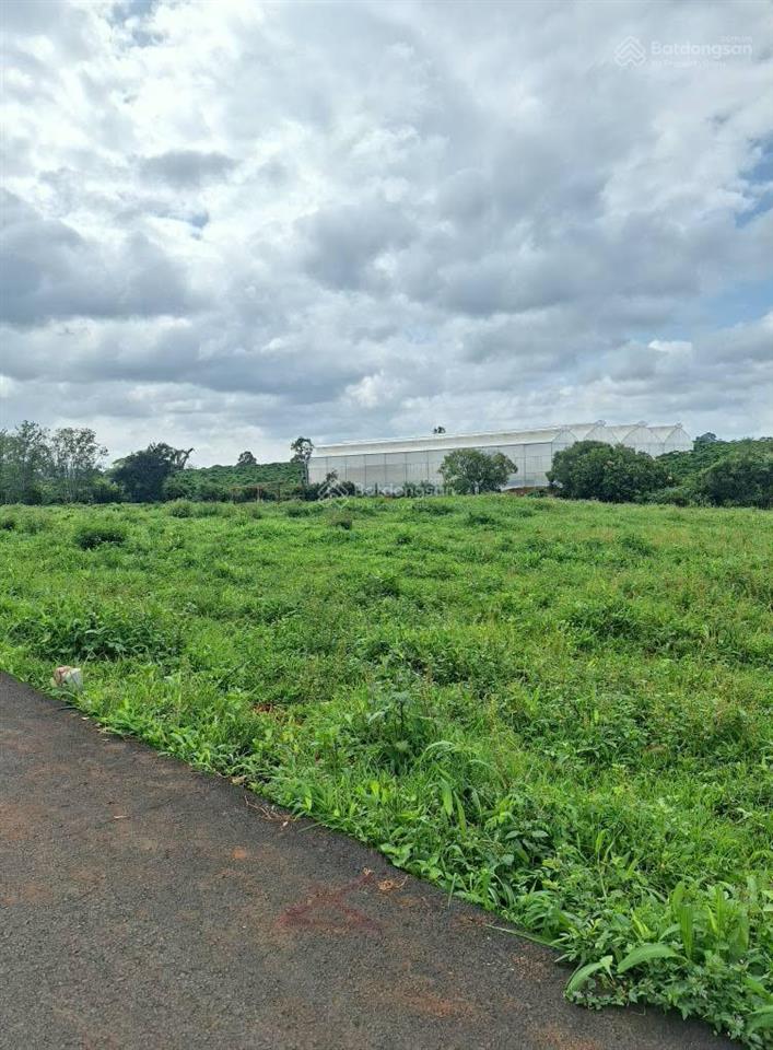 Bán đất tại đường nguyễn thị minh khai, 1,85 tỷ, 1315 m2, dtc, pháp lý đầy đủ