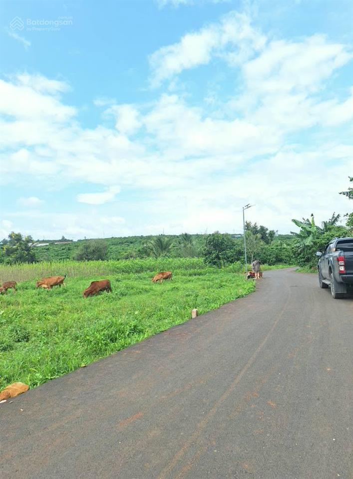 Bán đất tại đường nguyễn thị minh khai, 1,85 tỷ, 1315 m2, dtc, pháp lý đầy đủ