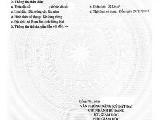Bán đất tại xã bom bo, huyện bù đăng, bình phước, 4,2 tỷ, 555,6 m2