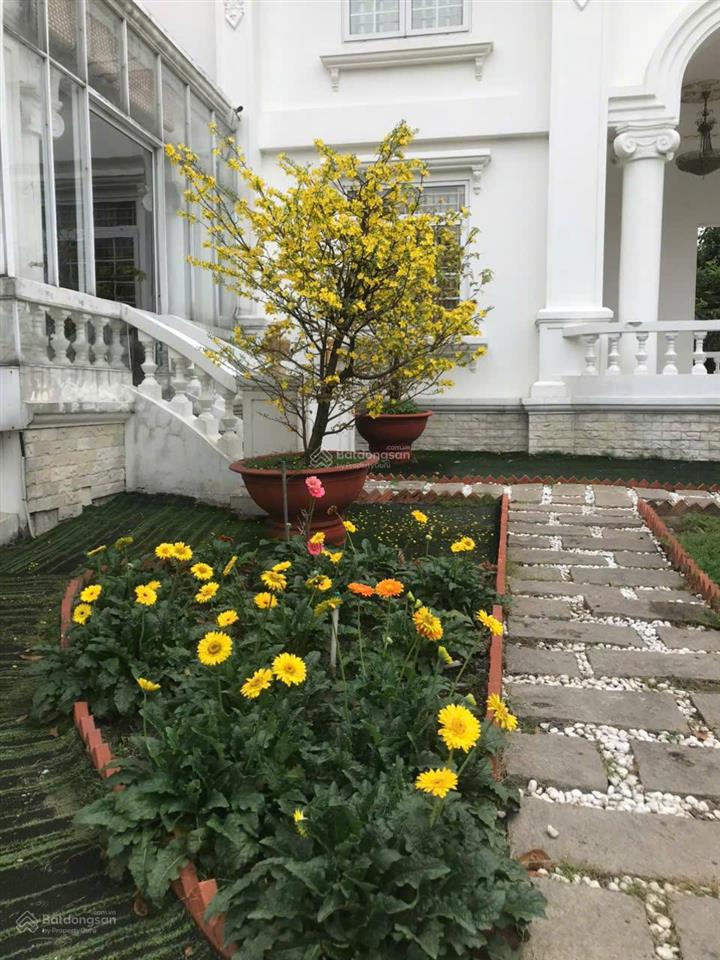 Siêu biệt thự sân vườn, diện tích 1234m2, đầy đủ công năng, hoàn thiện cao cấp