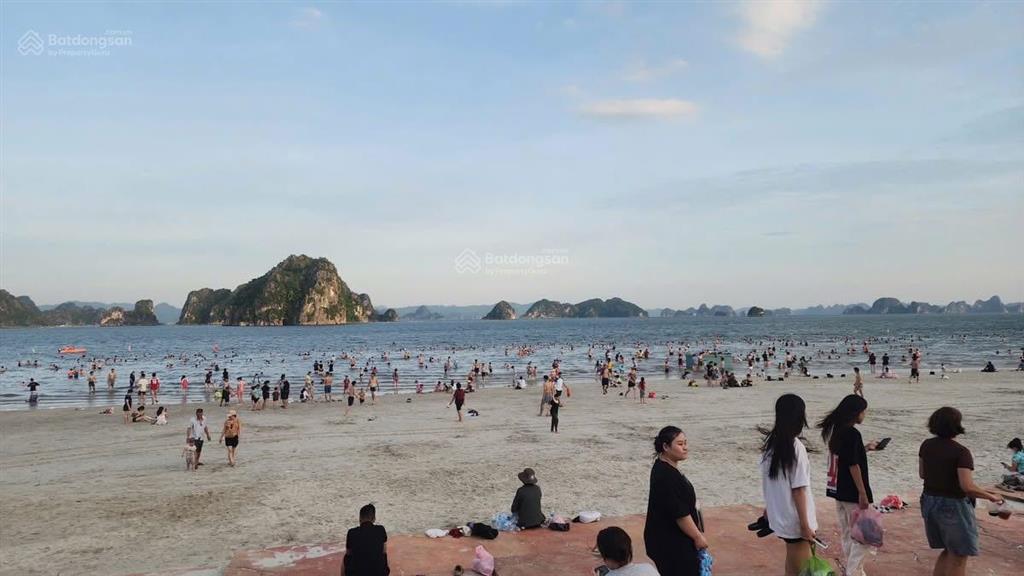 Vân bay  căn hộ ven biển sổ hồng lâu dài view vịnh bái tử long