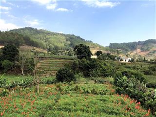 Rẻ hơn thị trường 30% cực hiếm, cách trung tâm đà lạt 10p, ngang 10.09m chỉ 3.25 tỷ