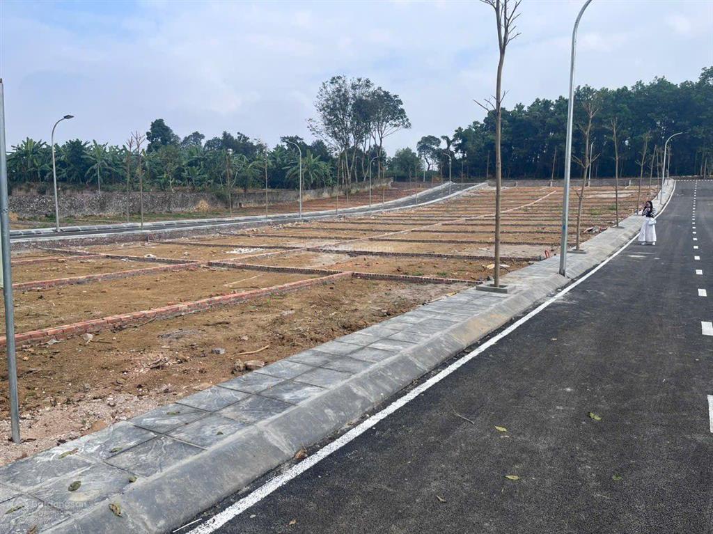 Bán đất nền phân lô ba hàng đồi, 600 triệu, 85m2, hòa bình