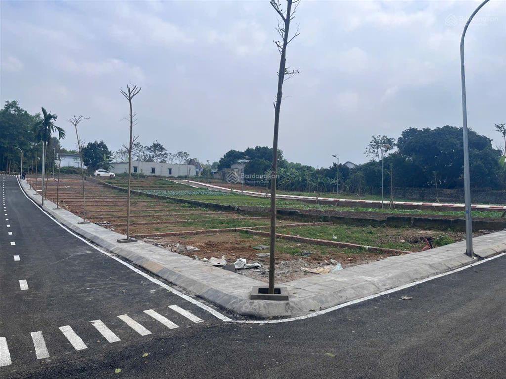 Bán đất nền phân lô ba hàng đồi, 600 triệu, 85m2, hòa bình