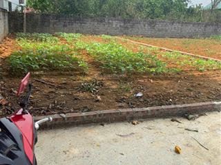 Chính chủ (không tgmg) cần bán đất nền đông yên, quốc oai, hà nội, 2,x tỷ, 100m2 bao đẹp giá tốt