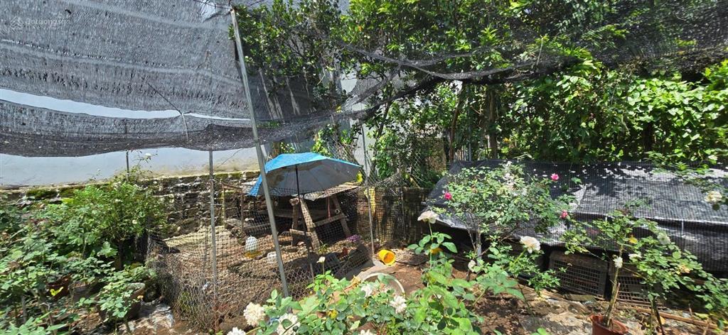 Bán đất mặt đường yên bình  hòa bình, phường yên nghĩa (tổ 16) hà nội. 258.3m2, mt 10m, miễn tg
