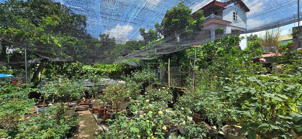 Bán đất mặt đường yên bình  hòa bình, phường yên nghĩa (tổ 16) hà nội. 258.3m2, mt 10m, miễn tg