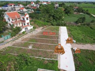 Bán gấp đất tại xã chuyên mỹ, 2,77 tỷ, 88 m2, mặt tiền 6m