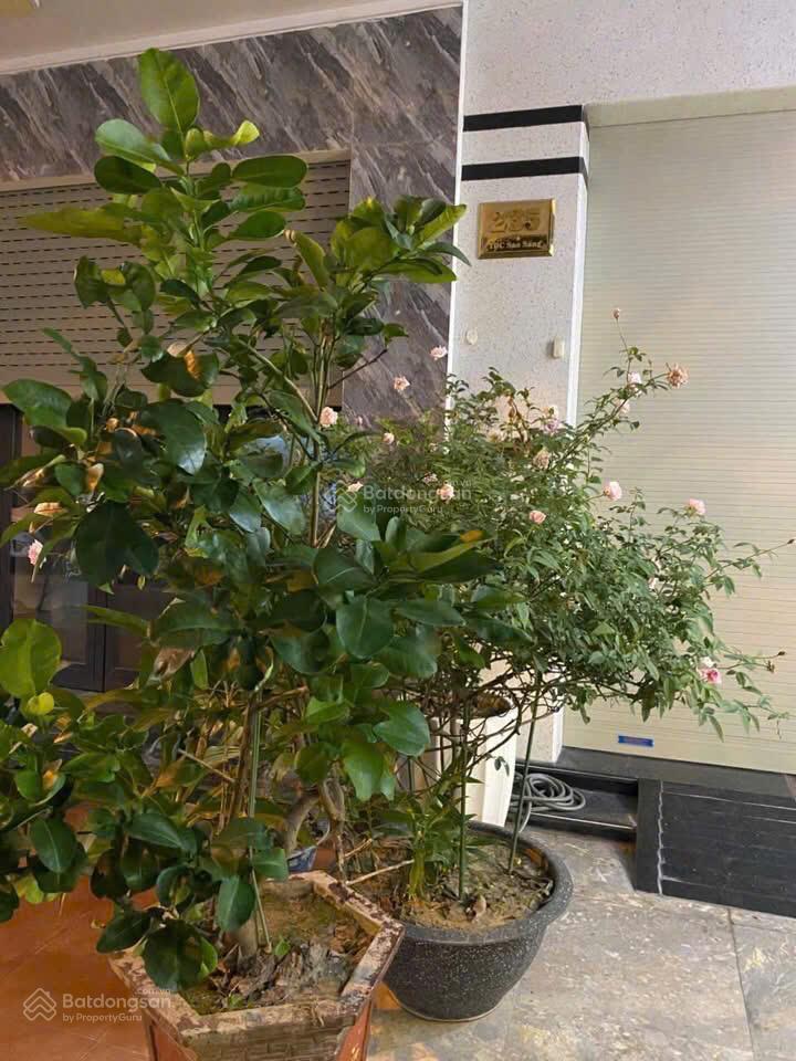 Siêu phẩm nhà 4 tầng tuyến 2 ngô gia tự, full nội thất cao cấp, đường 12m, vỉa hè 3m, chỉ 9 tỷ
