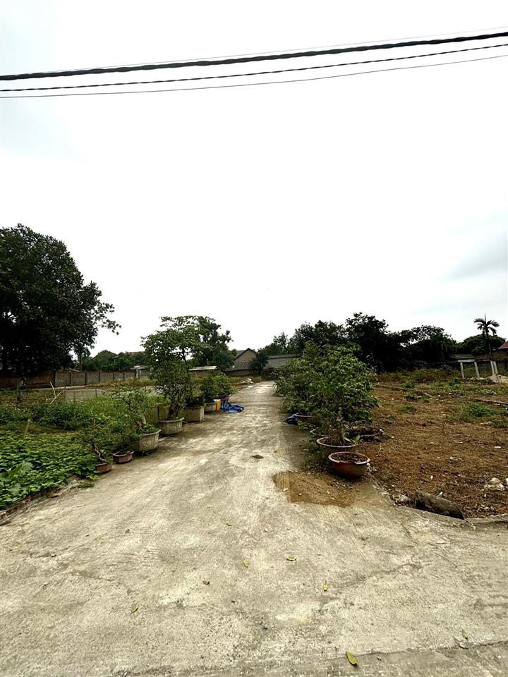 150m đất full thổ cư cẩm lĩnh, ba vì, đường trước đất 4m.
