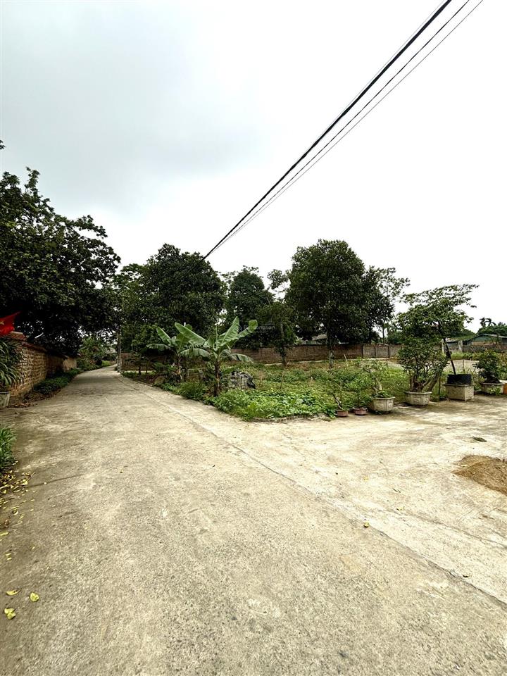 150m đất full thổ cư cẩm lĩnh, ba vì, đường trước đất 4m.