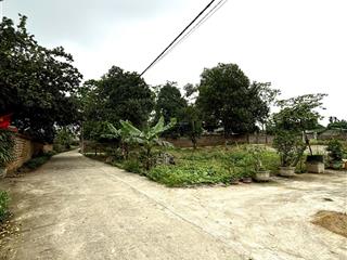 150m đất full thổ cư cẩm lĩnh, ba vì, đường trước đất 4m.