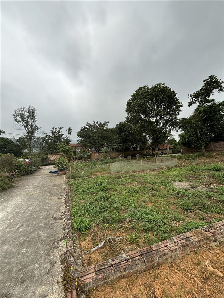 150m đất full thổ cư cẩm lĩnh, ba vì, đường trước đất 4m.