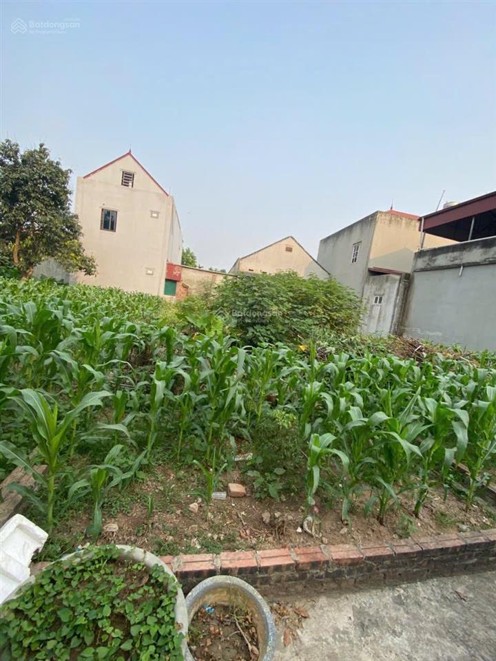 77,4m đất ngọc tảo, phúc thọ, hà nội, ô tô vào đất, gần đường tây thăng long