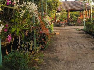 Bán đất tại sông thao, trảng bom, đồng nai, 2 tỷ / 1 sào, có vườn trái cây, chăn nuôi heo, gà, vịt