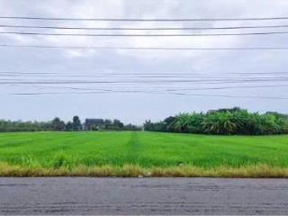 Cần ra lô đất chính chủ, mặt tiền đẹp, giá cả phải chăng, có thương lượng