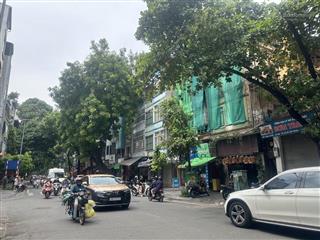 Mặt phố lò đúc 200m2  giá hơn 600tr/m  lô góc hai bà trưng  mảnh đất vàng hiếm có