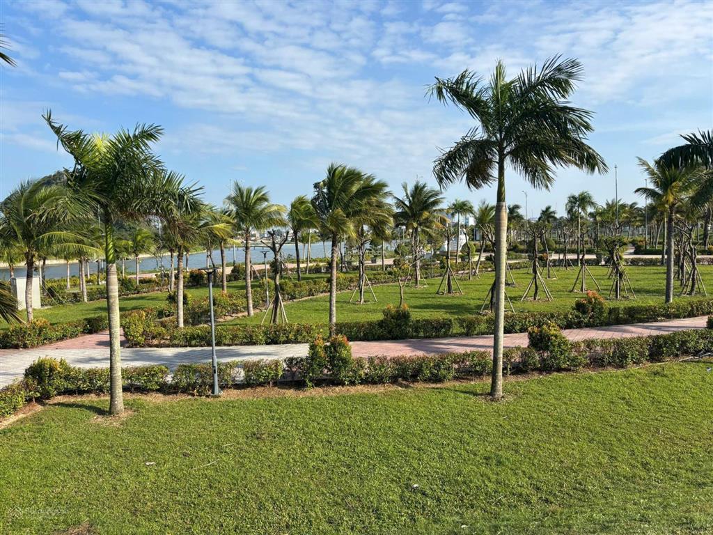 Bán căn hộ chung cư đà nẵng view pháo hoa quốc tế, view biển, view sông rất đẹp  nhưng giá cực rẻ