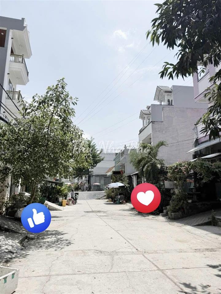 Bùi tư toàn mặt phố 12m đất đẹp tặng nhà cấp 4  4,1 x 21,5m  sổ mới vuông vức giá 6,8 tỷ
