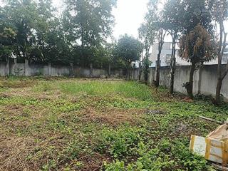 Đất lớn mặt tiền lê tấn bê kinh vương 2285m2 full thổ vuông vức ngang 53m chỉ 105 tỷ tiện phân lô