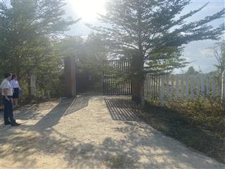 Bán đất đẹp tại xuân đồng, diên khánh, khánh hòa, 8,5 tỷ, 8766 m2