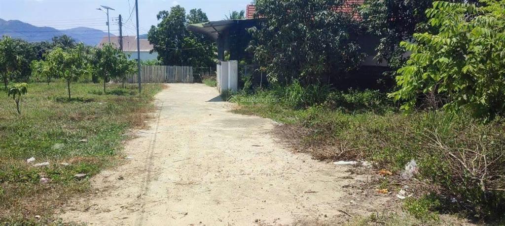 Bán đất 92.5m2 tại thôn xuân phú, 380 triệu, huyện diên khánh, khánh hòa