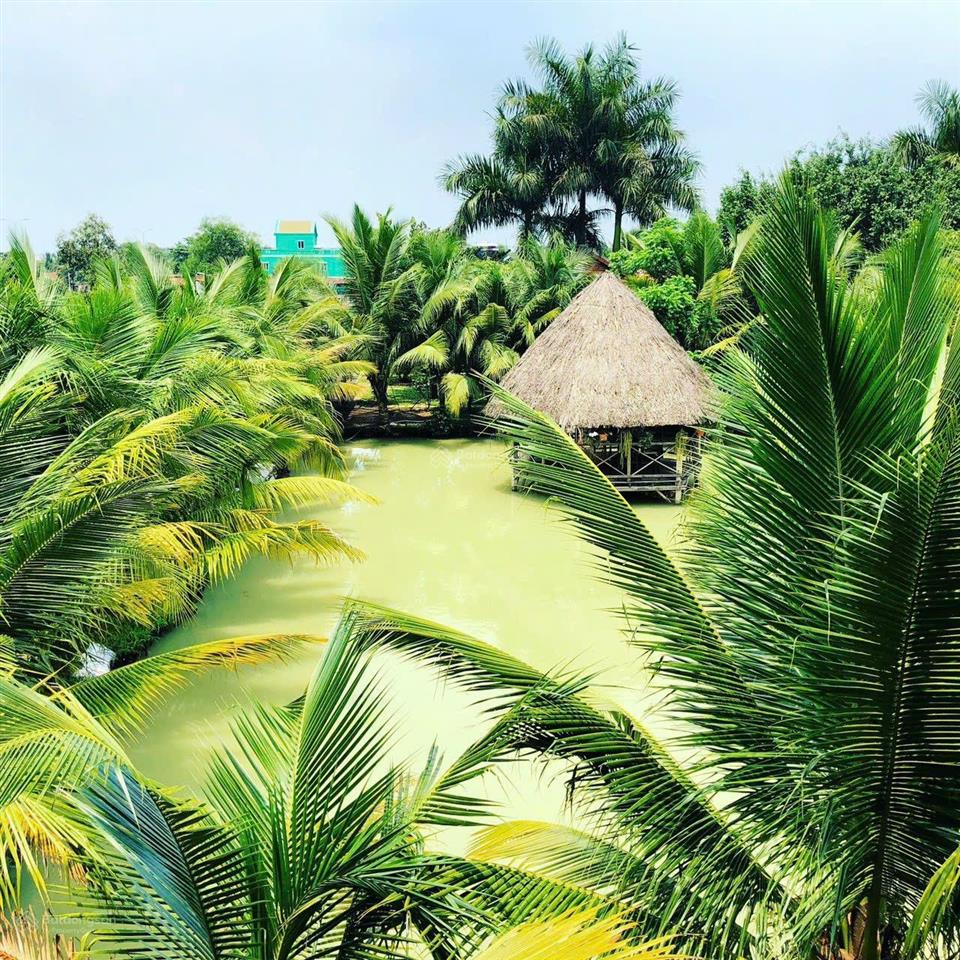 Bán nhà vườn 1615 m2 có thổ cư tại củ chi giá 12 tỷ 5 tl