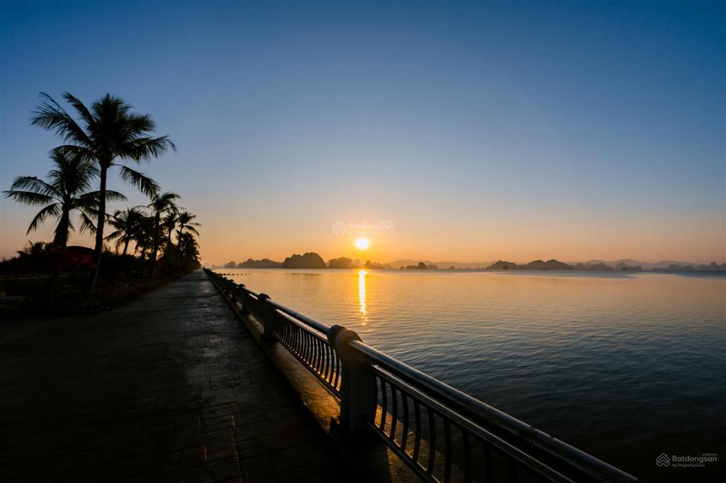 Chỉ từ 480 triệu sở hữu căn hộ vân bay vân đồn  đón sóng tăng giá đặc khu kinh tế vân đồn