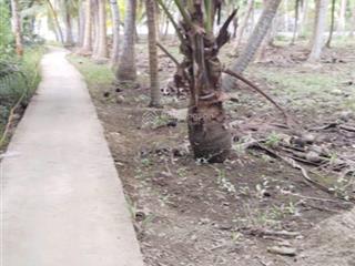 Bán đất vườn dừa chính chủ,  0976 101 ***. (có nhu cầu hợp tác với các bạn môi giới)