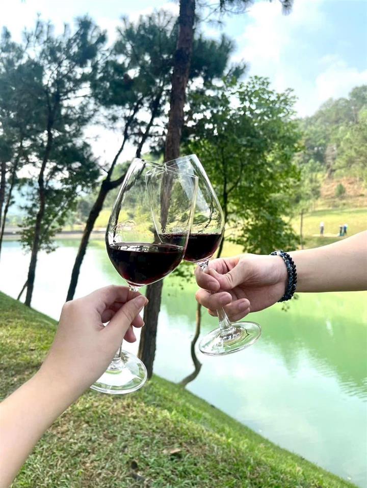 Bán bt tại thanh xuân valley, 24 tỷ vnd, 252m2, 5pn, 3wc, hàng hiếm, giá siêu hời