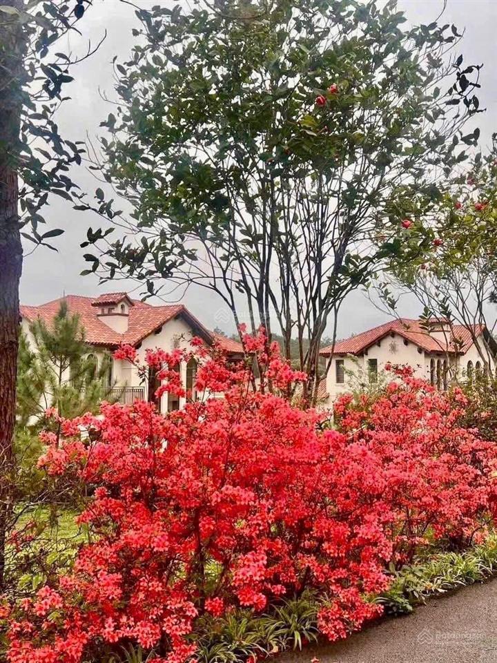 Bán bt tại thanh xuân valley, 24 tỷ vnd, 252m2, 5pn, 3wc, hàng hiếm, giá siêu hời