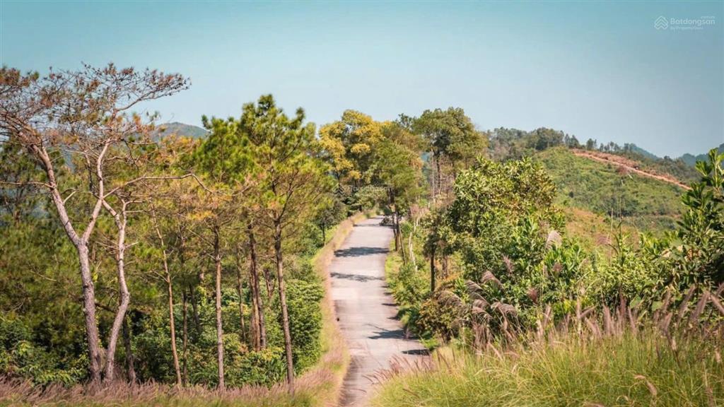Bán biệt thự tại thanh xuân valley giá cực chất 42 tỷ, có bể bơi riêng, dtsd tới 712 m2