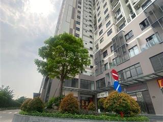 Bán căn hộ penthouse pegasuit 2, đường tạ quang bửu, mặt tiền kinh doanh siêu đẹp nhỉnh 9 tỷ