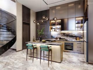 Chủ đầu tư cần bán căn douplex view trọn hồ tây diện tích 199 m2 giá 35 tỷ bàn giao thô