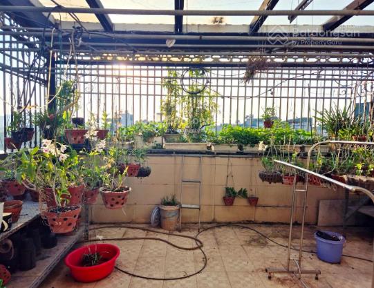 (213) liền kề tây nam linh đàm, 60m2, view công viên & sông, đường oto tải vòng quanh, nhỉnh 24 tỷ