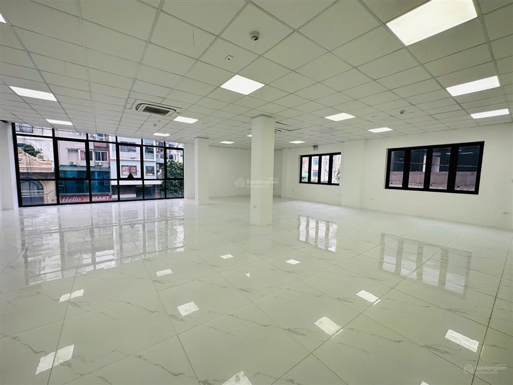 Cho thuê văn phòng 250m2 tại 168 nguyễn xiển, thanh xuân, view thoáng, đầy đủ pccc
