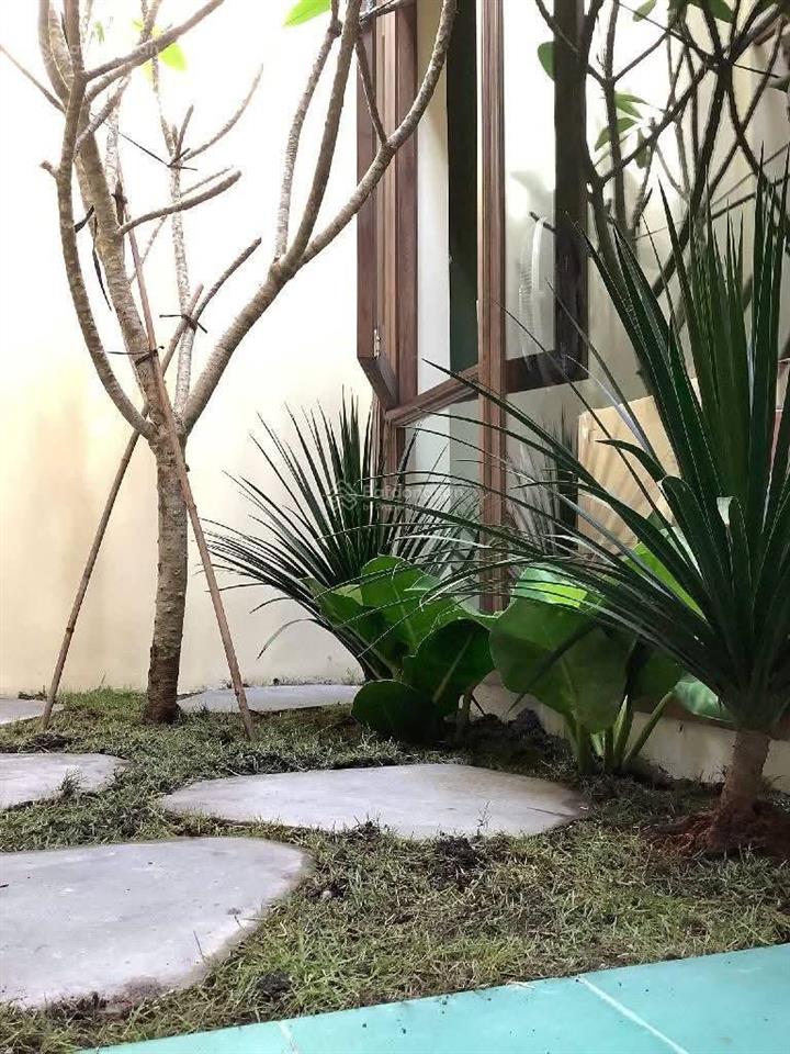 Siêu hiếm  village xanh, trung tâm gò vấp vị trí vàng hiếm có nguyễn văn lượng, lê đức thọ