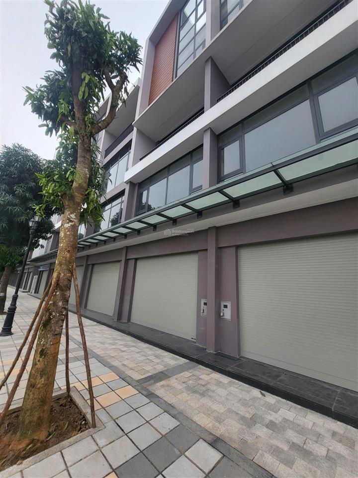 Căn shophouse 100m2 đối diện 40 tòa chung cư mik tại vinhome ocp3, giá vốn chỉ 5 tỷ