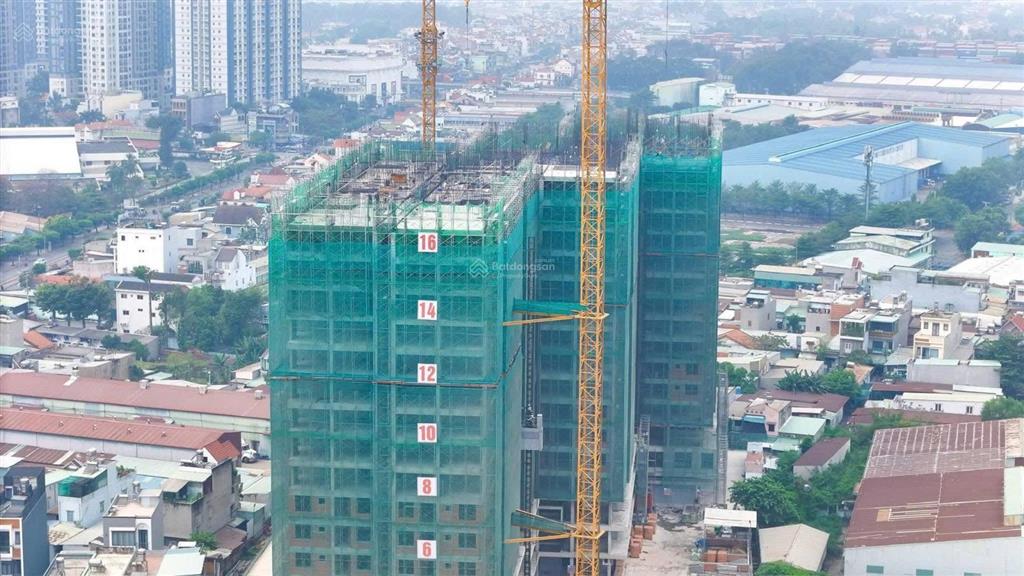 Bán nhà chính chủ, giá cực tốt, tầng trung tháp avis