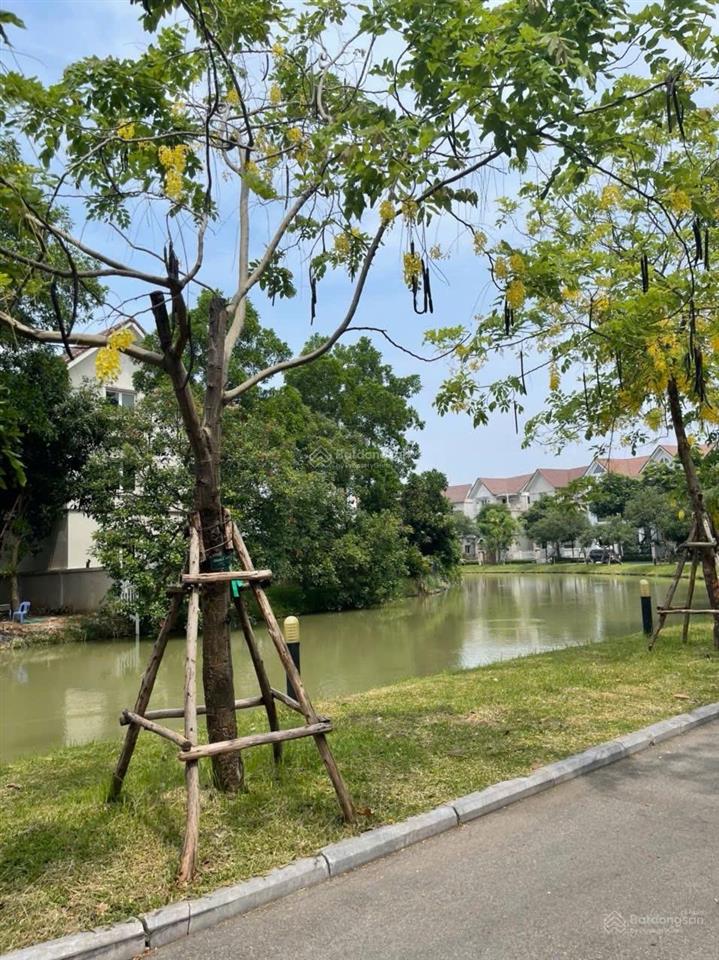 Bán biệt thự đẹp tại vinhomes riverside hoa phượng view hồ. diện tích 181m2, nhà đẹp ở ngay cc bán