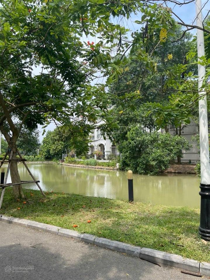 Bán biệt thự đẹp tại vinhomes riverside hoa phượng view hồ. diện tích 181m2, nhà đẹp ở ngay cc bán