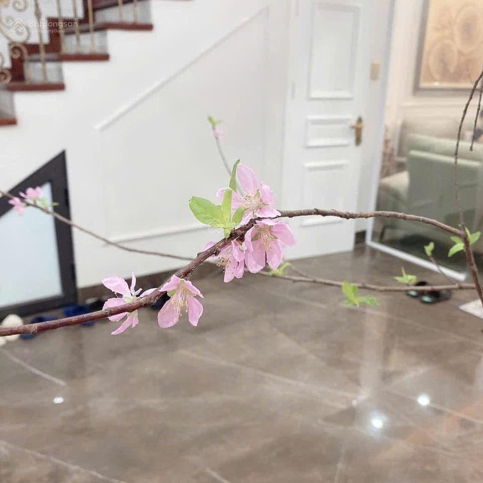 Chính chủ cần bán liền kề 60m2  tây nam hồ linh đàm